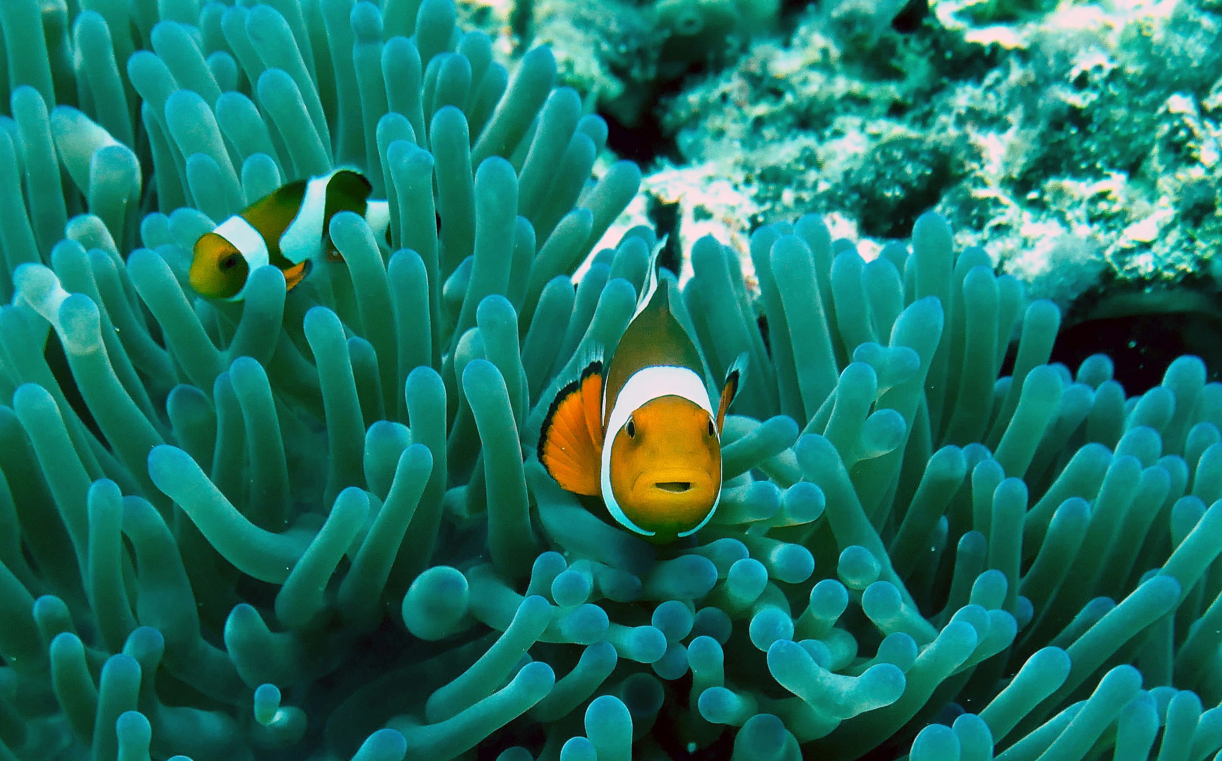 27 million tons of nanoplastics in the North Atlantic